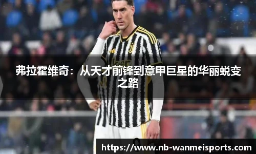 完美体育官网